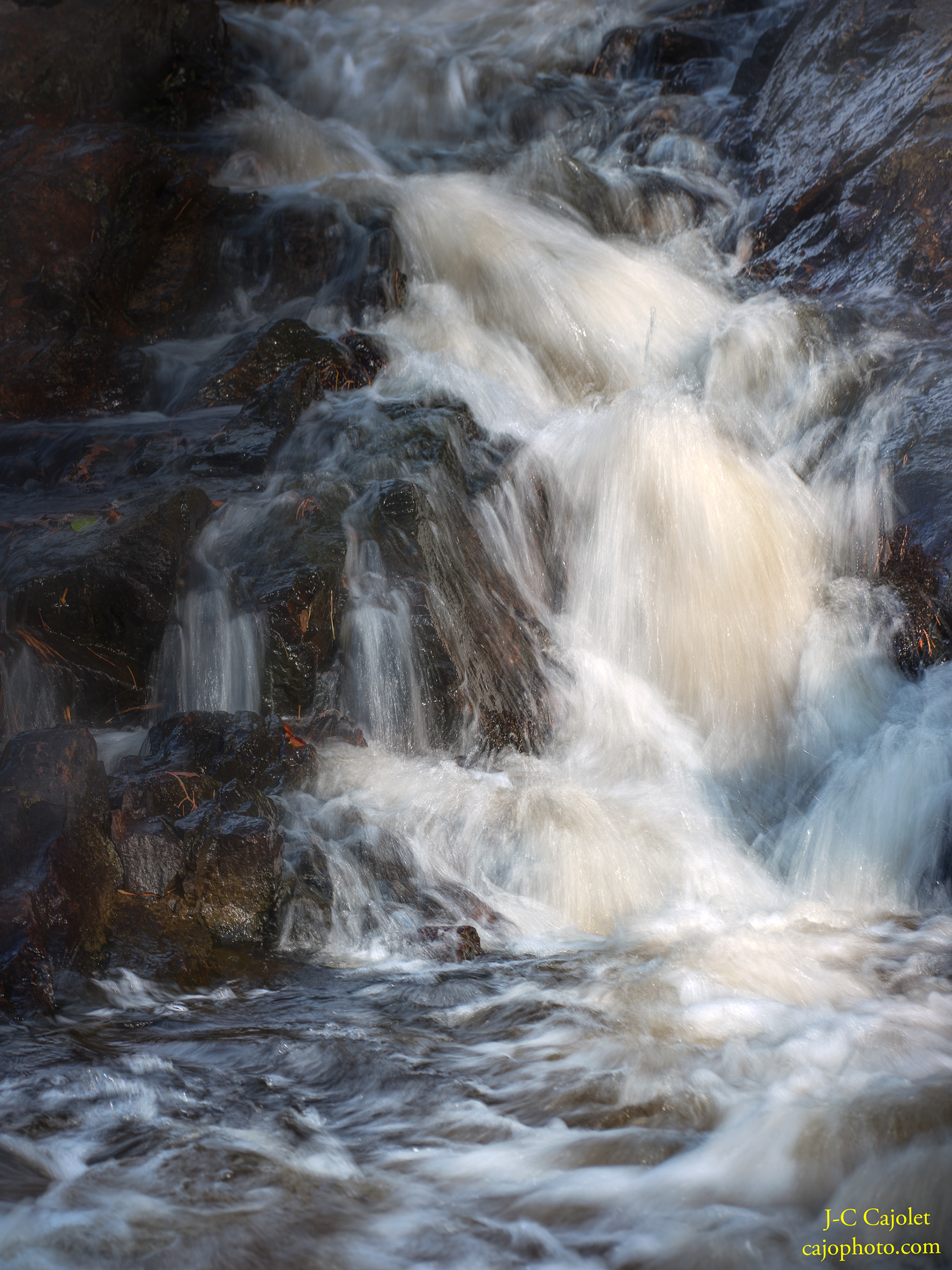 Concerto pour basson /  Concerto for bassoon