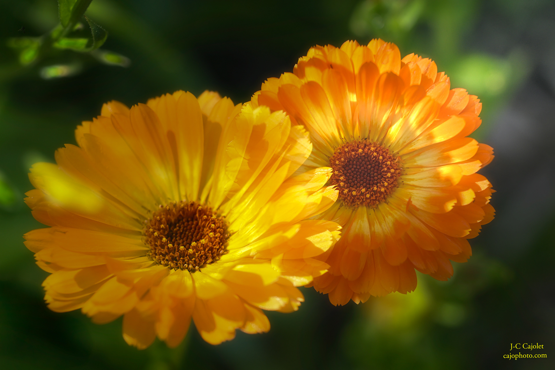 Chevauchement / Overlap