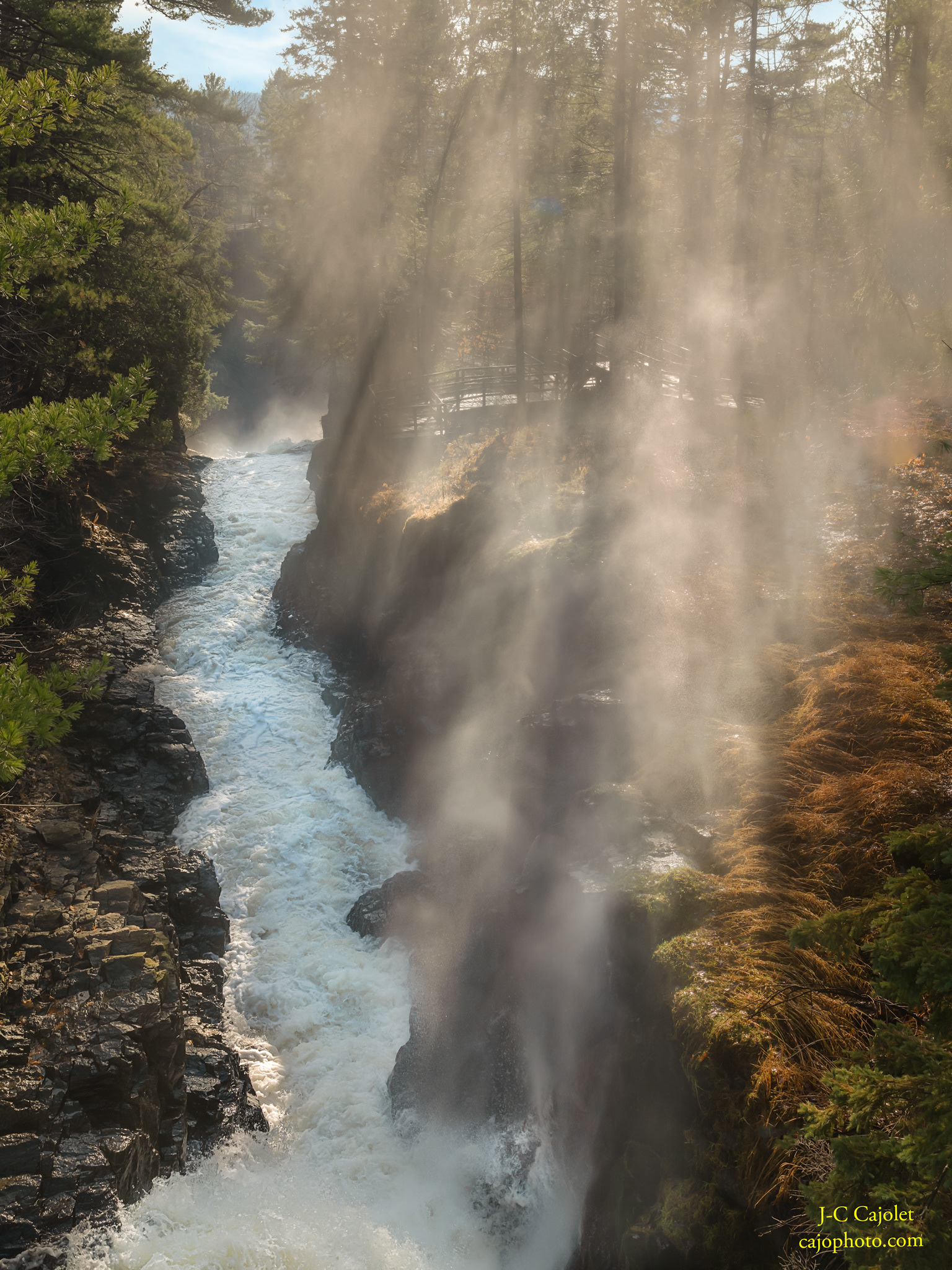 Rayons du matin / Morning rays