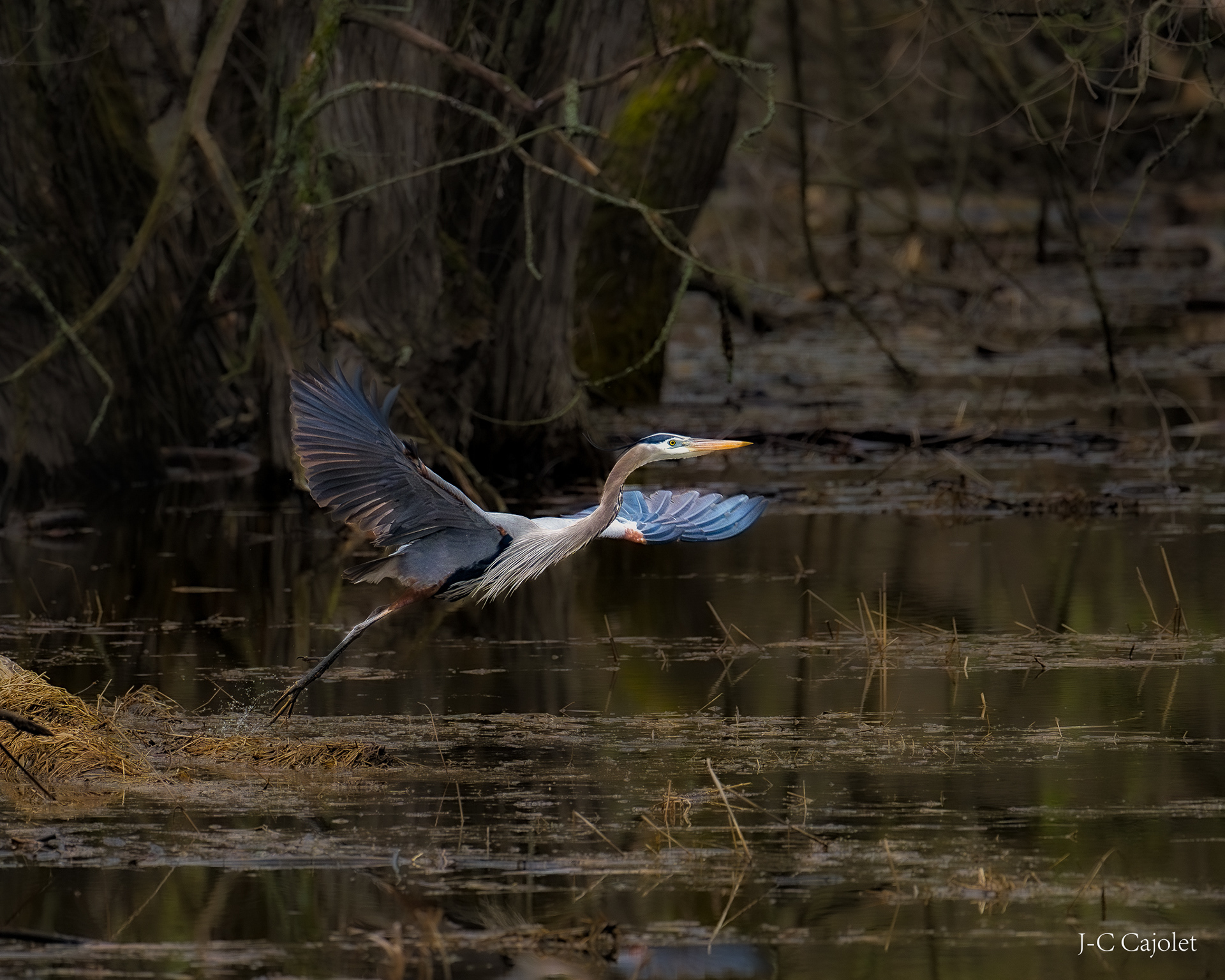 Regarde-moi / Look at me
