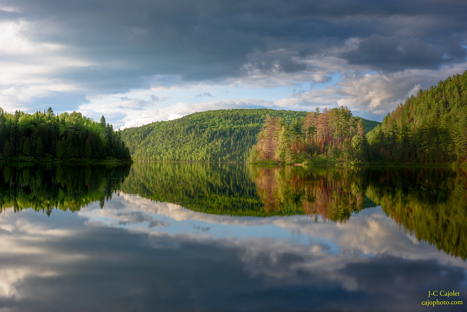 Onde sonore / Sound wave