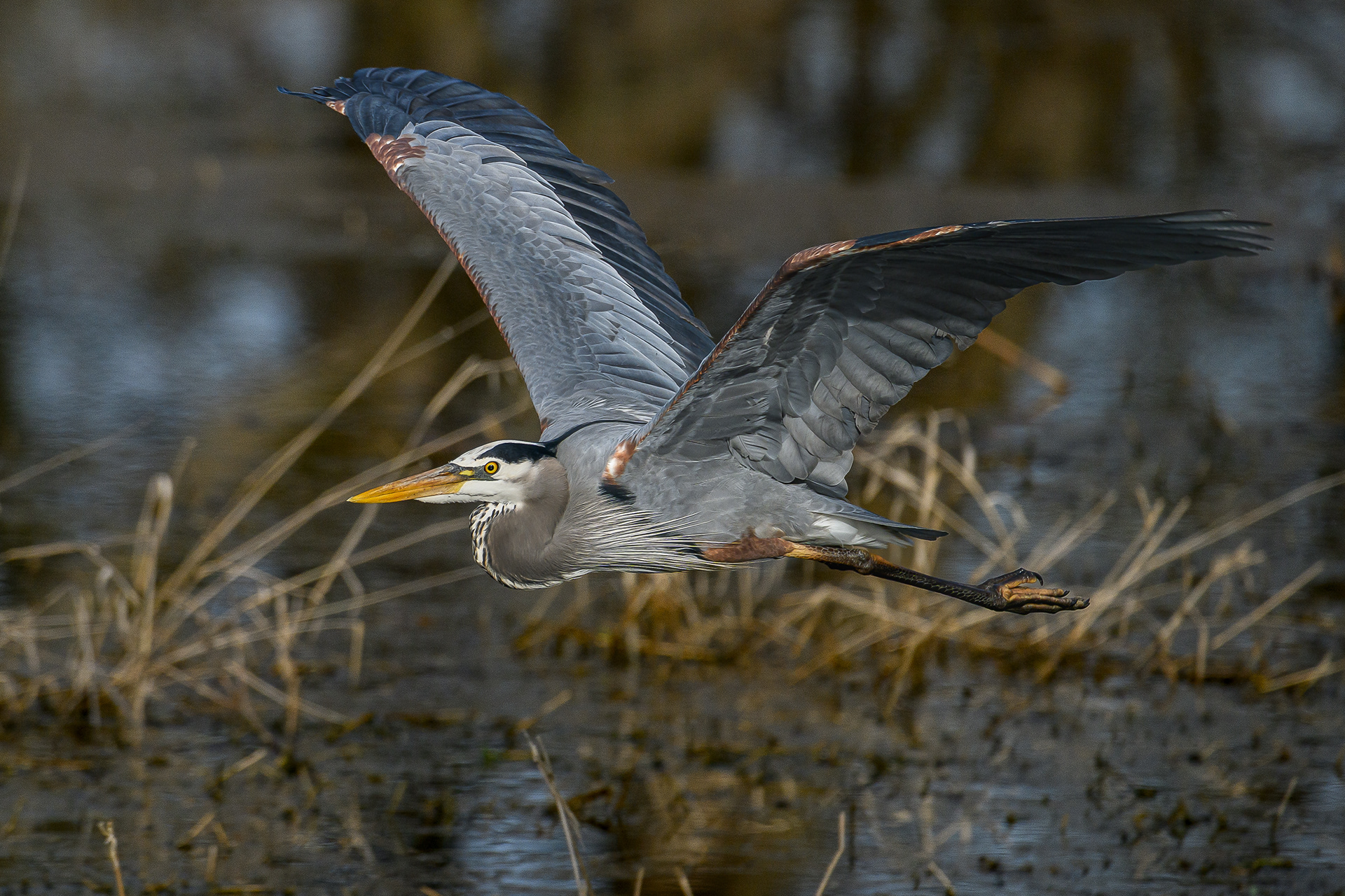 Tu m'énerves / You're annoying me