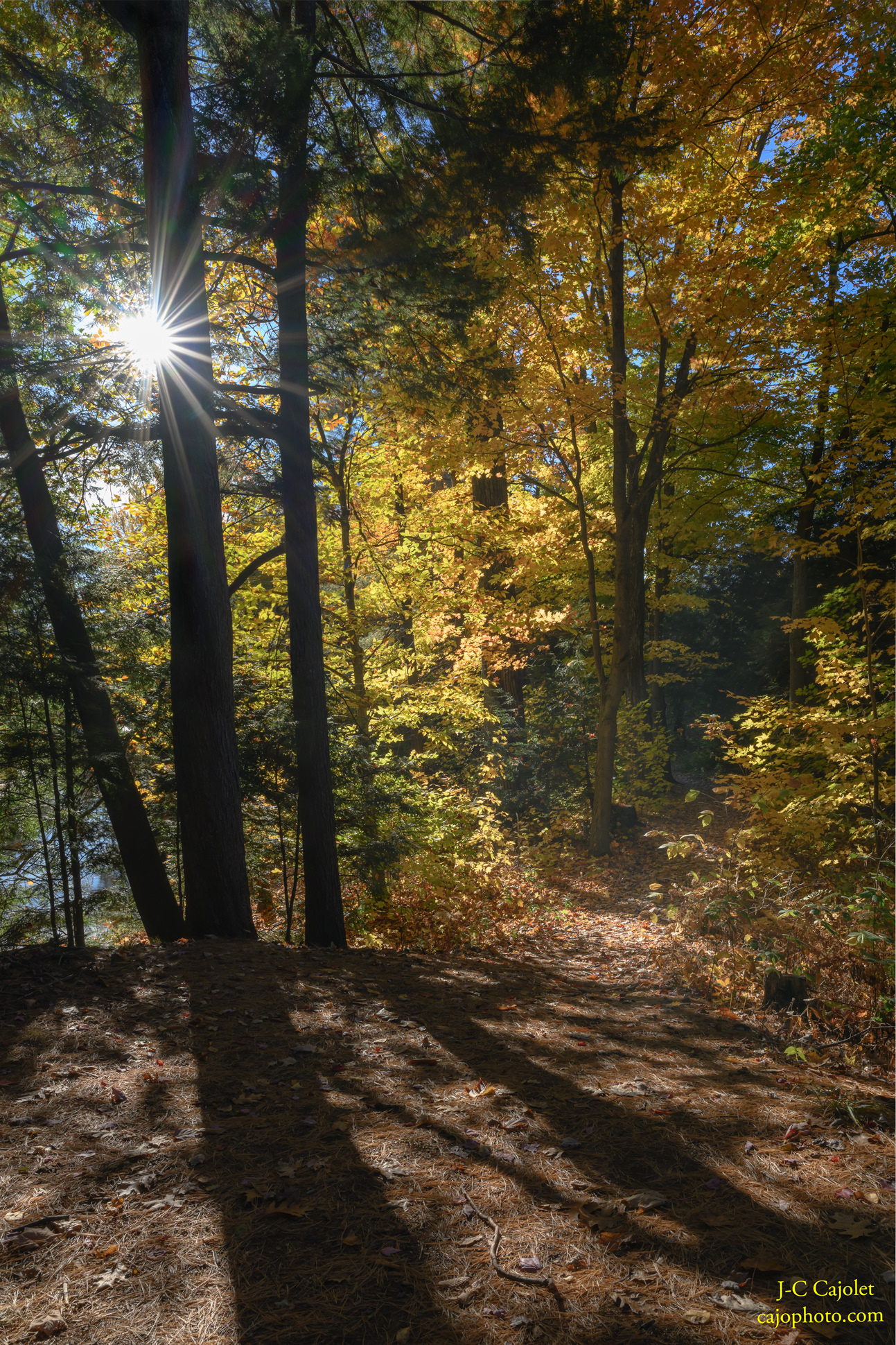 Aveuglant / Blinding