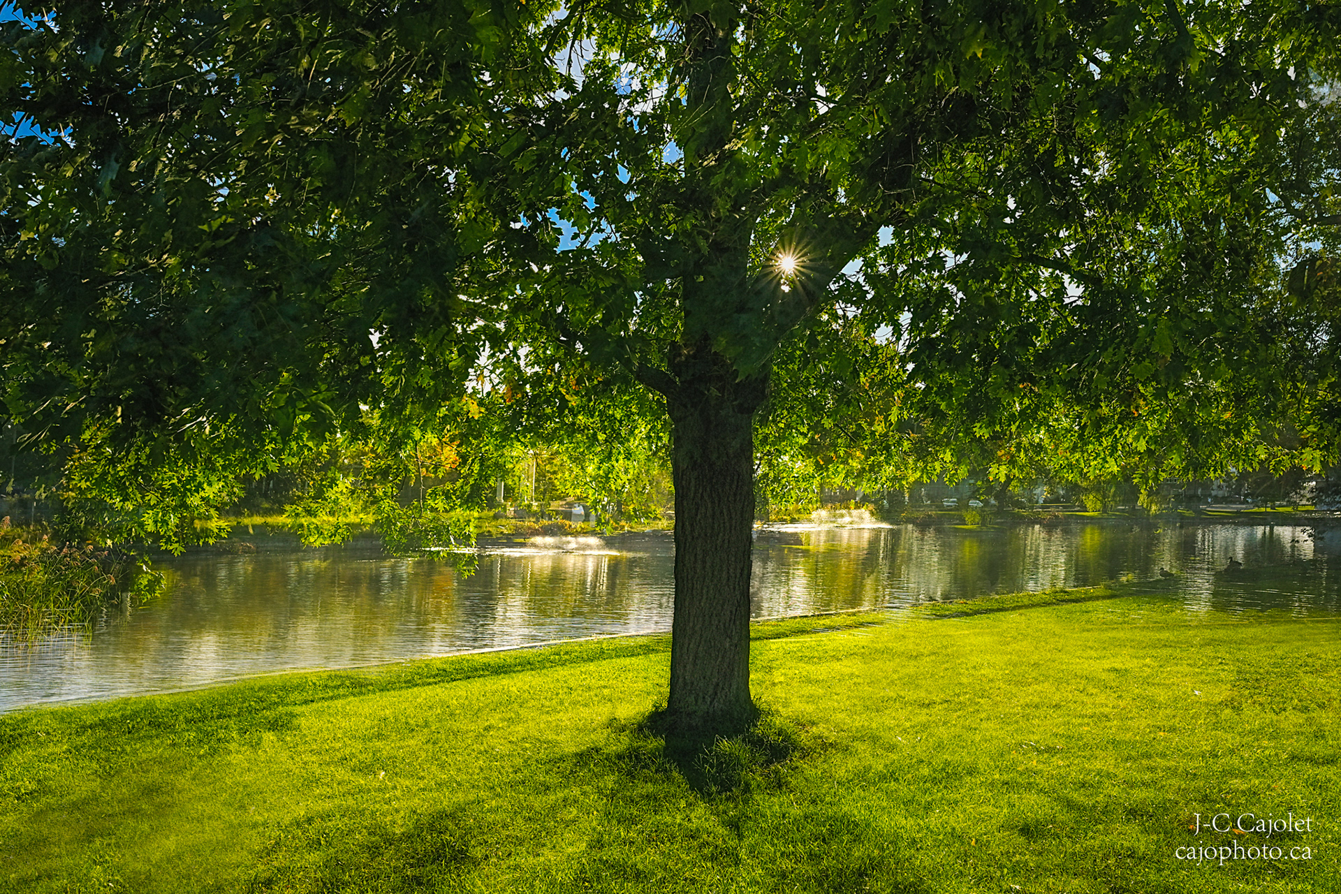 Éclatant / Specular light