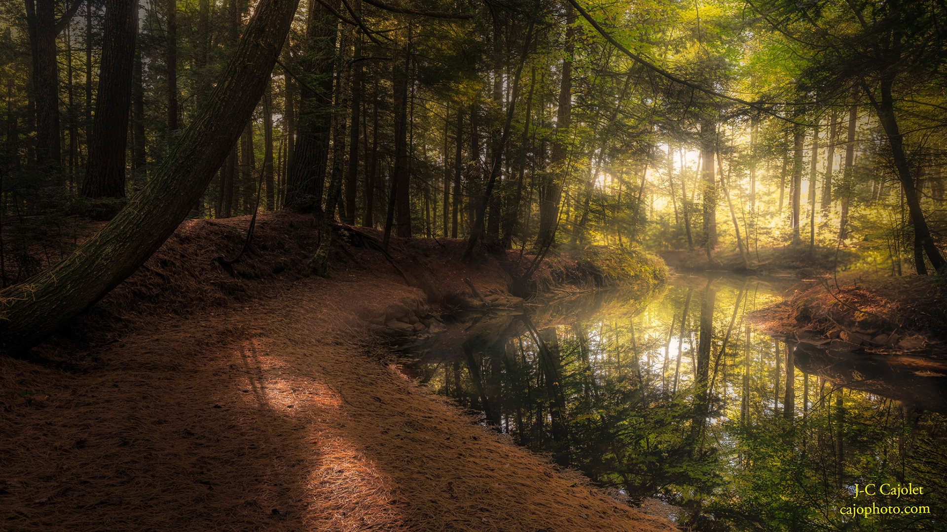 Chaleur d'automne /  Autumn warmth