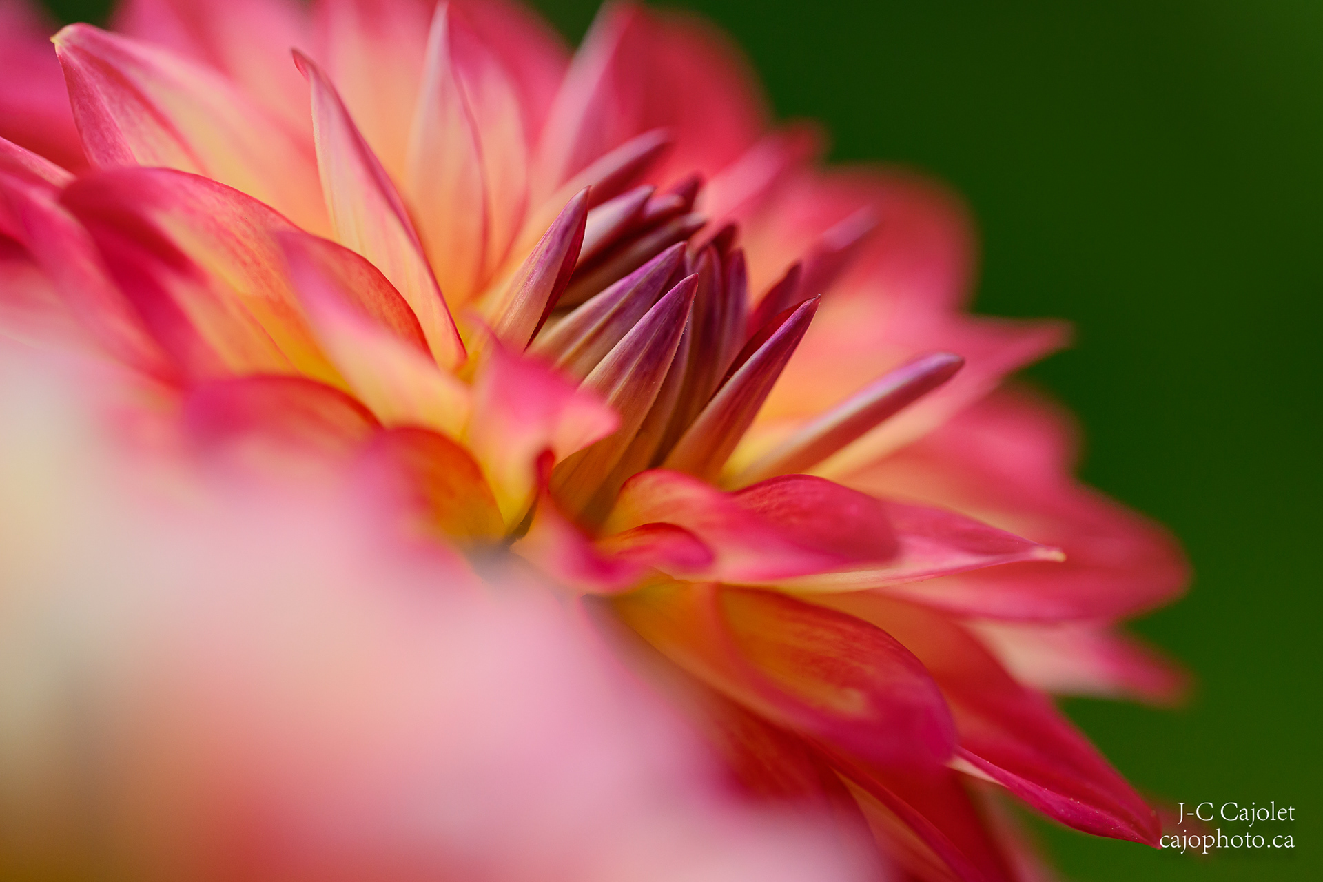 Vers demain / Towards tomorrow