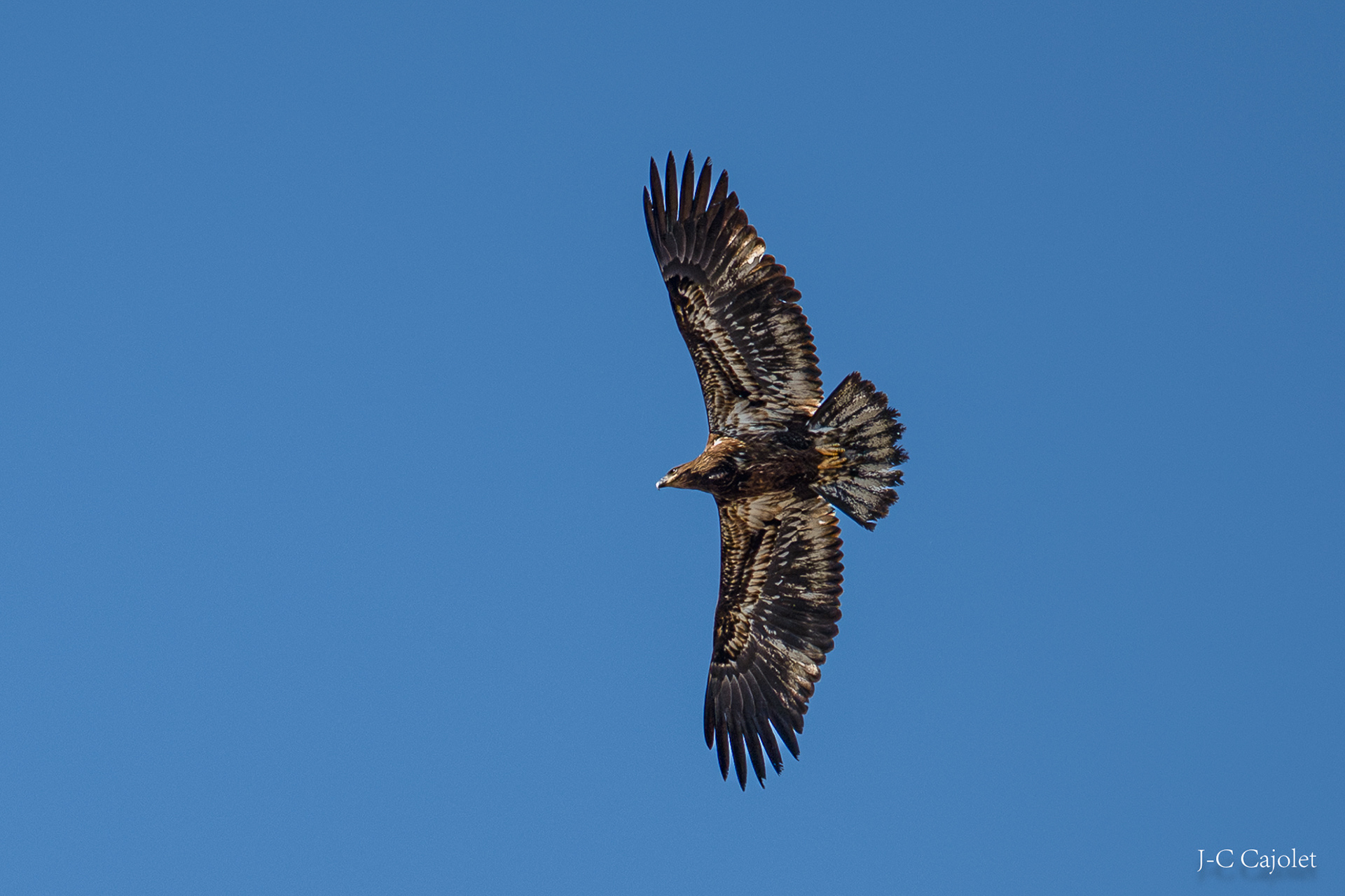 Je suis jeune / I am practicing 
