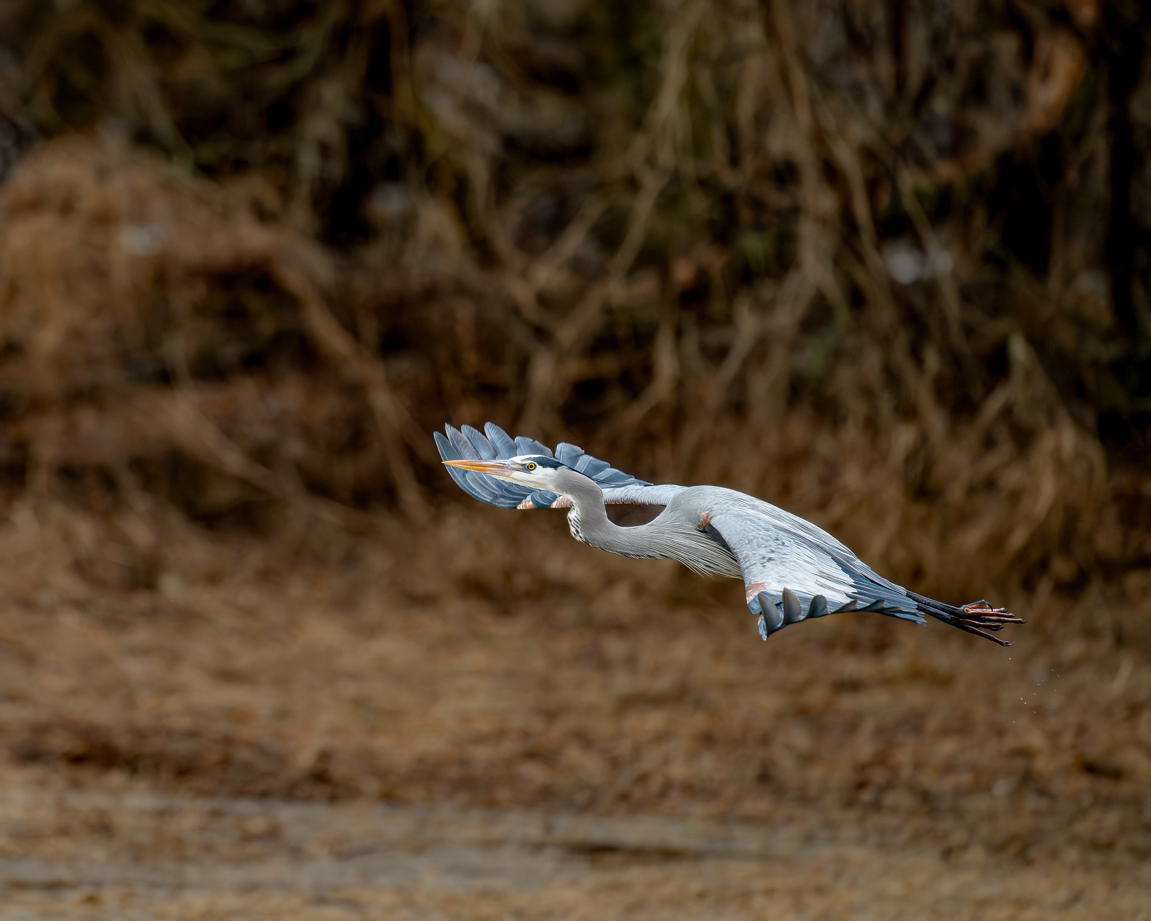 Je m'élance / I'm off
