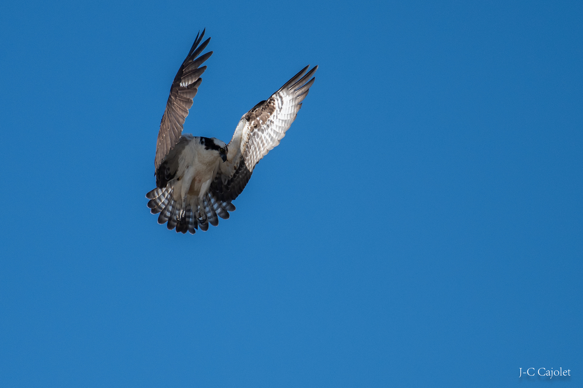 Je te vois / I see you