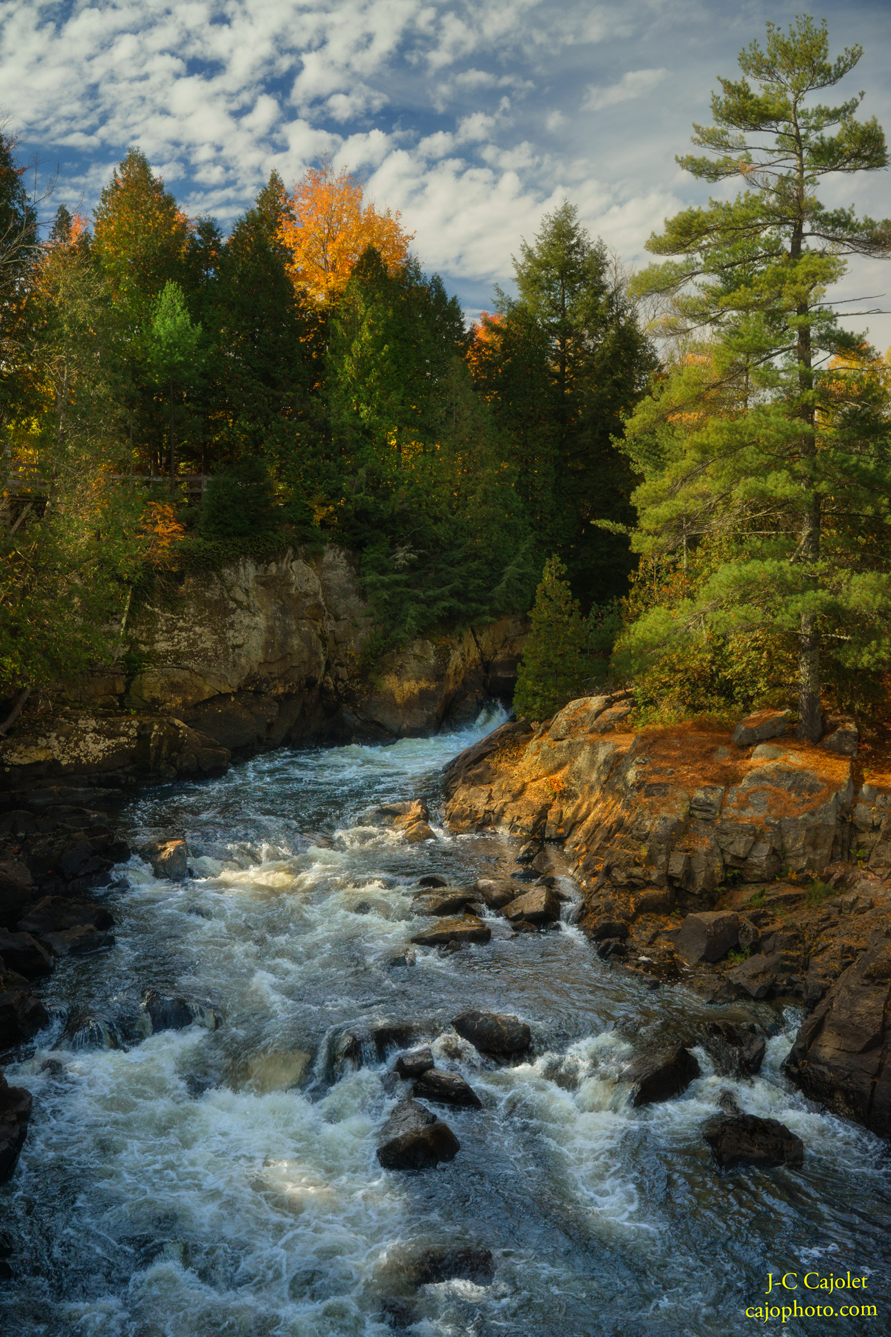 Stressant / Stressing