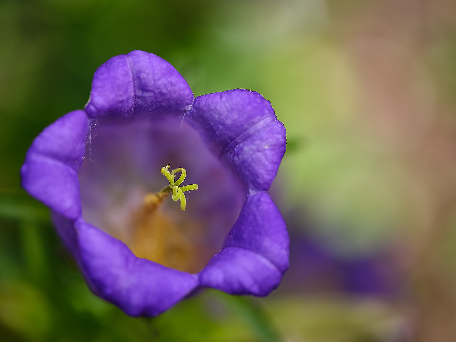 Indiscrétion / Indiscretion