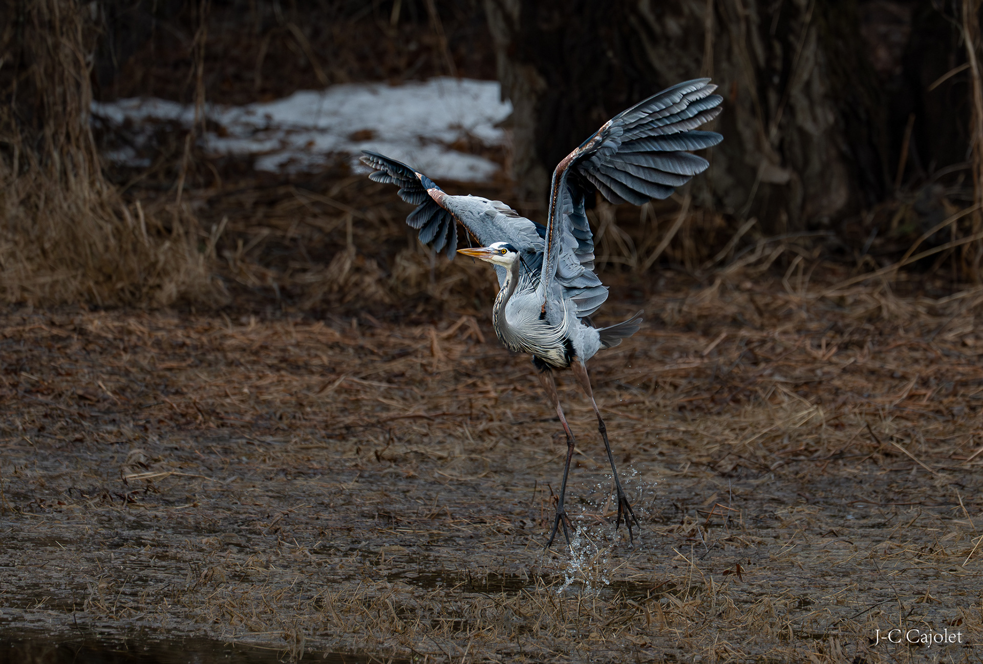 Et c'est un départ / It's a start
