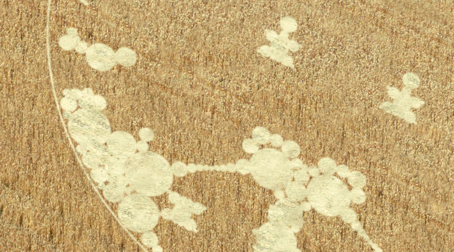 Cipher: Crop circle for this month