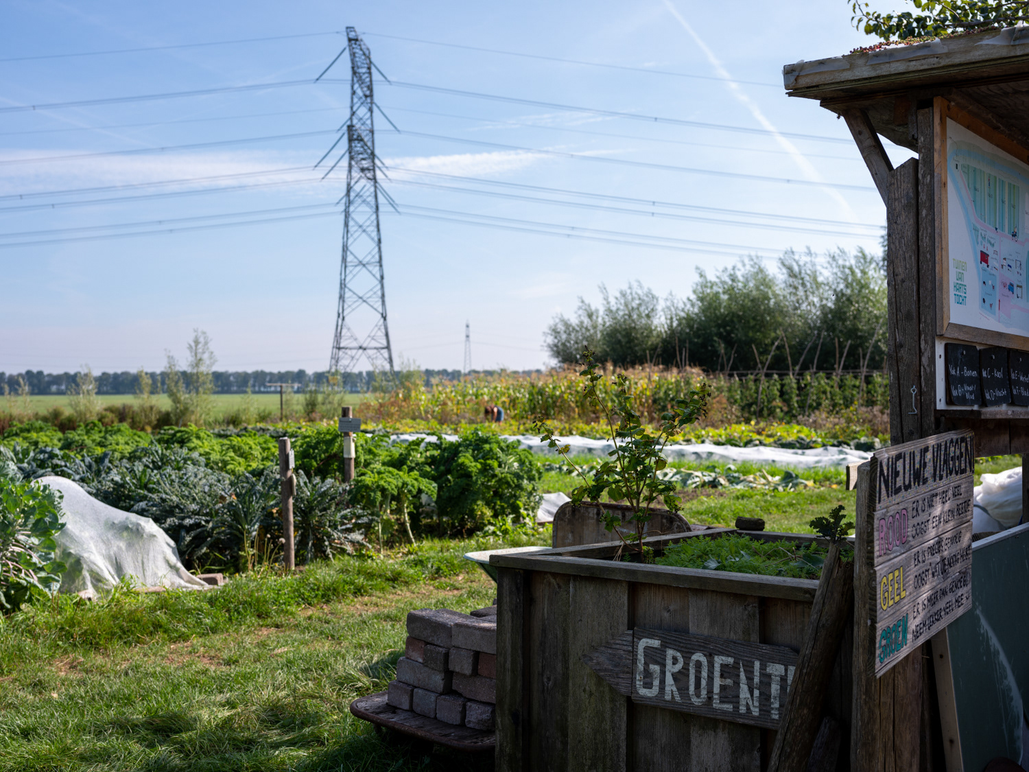 Zelfpluktuin bij Gein