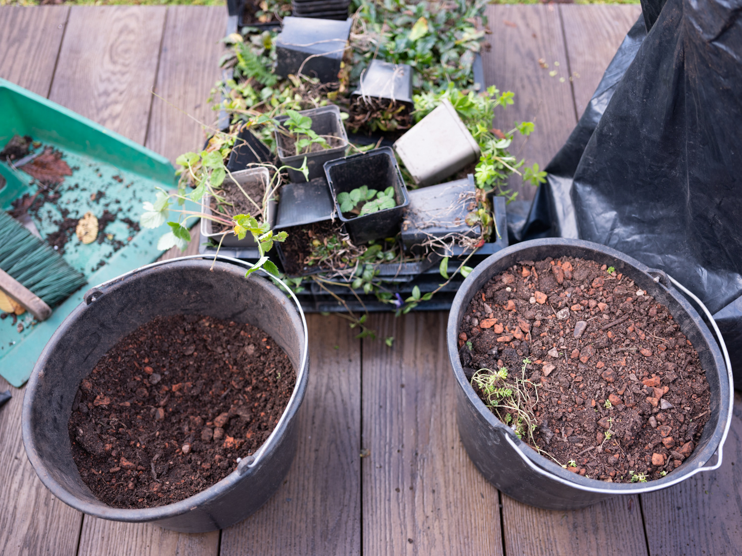 Aanleg sedumdak en groen op biobased materiaal, Amsterdam