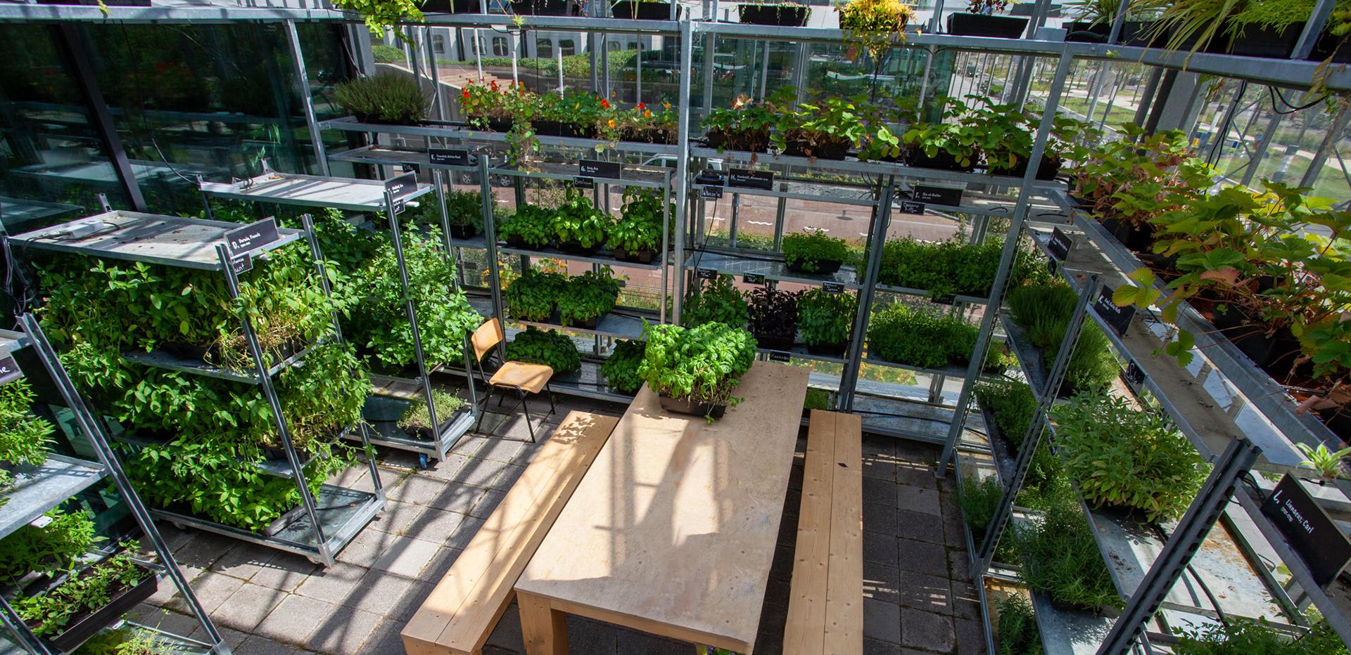Urban farm in het Utrecht Greenhouse