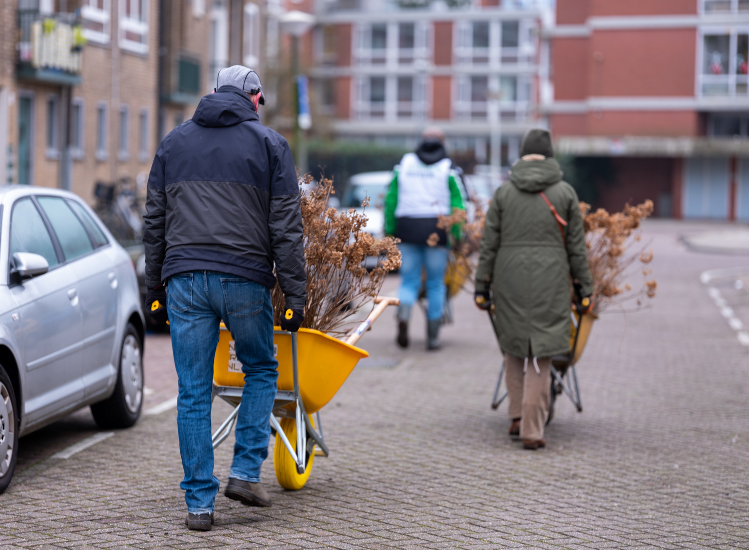 struikroven in Amsterdam