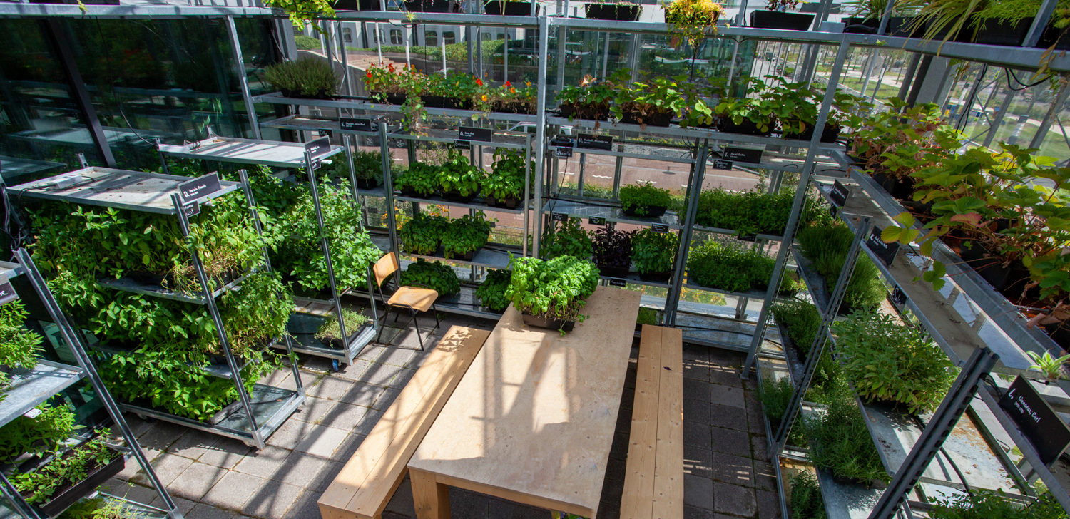 Urban Greenhouse Utrecht