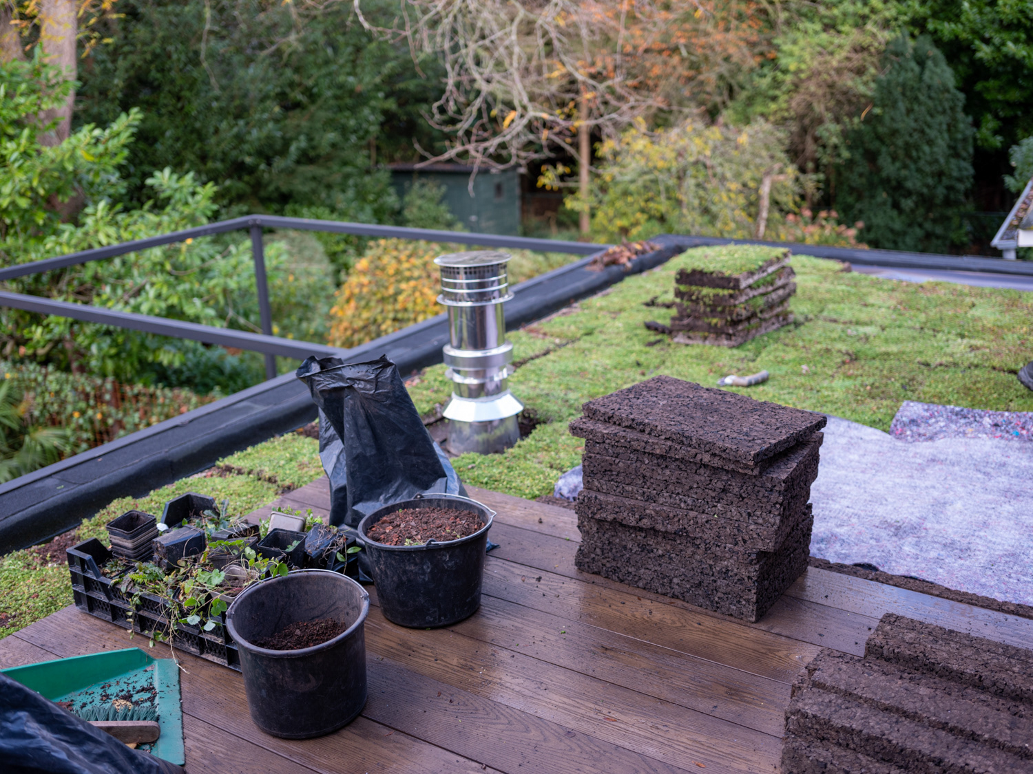 Aanleg sedumdak en groen op biobased materiaal, Amsterdam