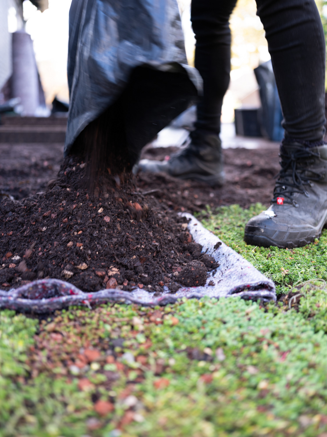 Sedumdak en groen op biobases materiaal