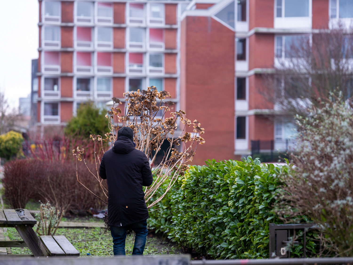struiken naar Ymere