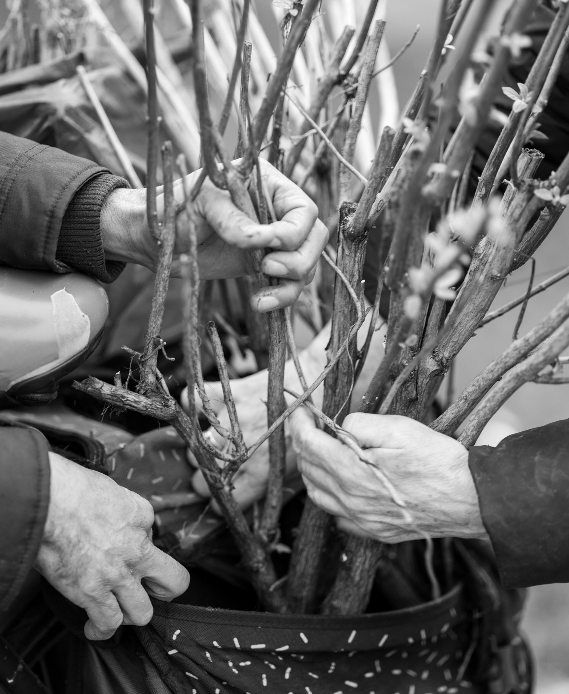 Helping Hands - nominee in People