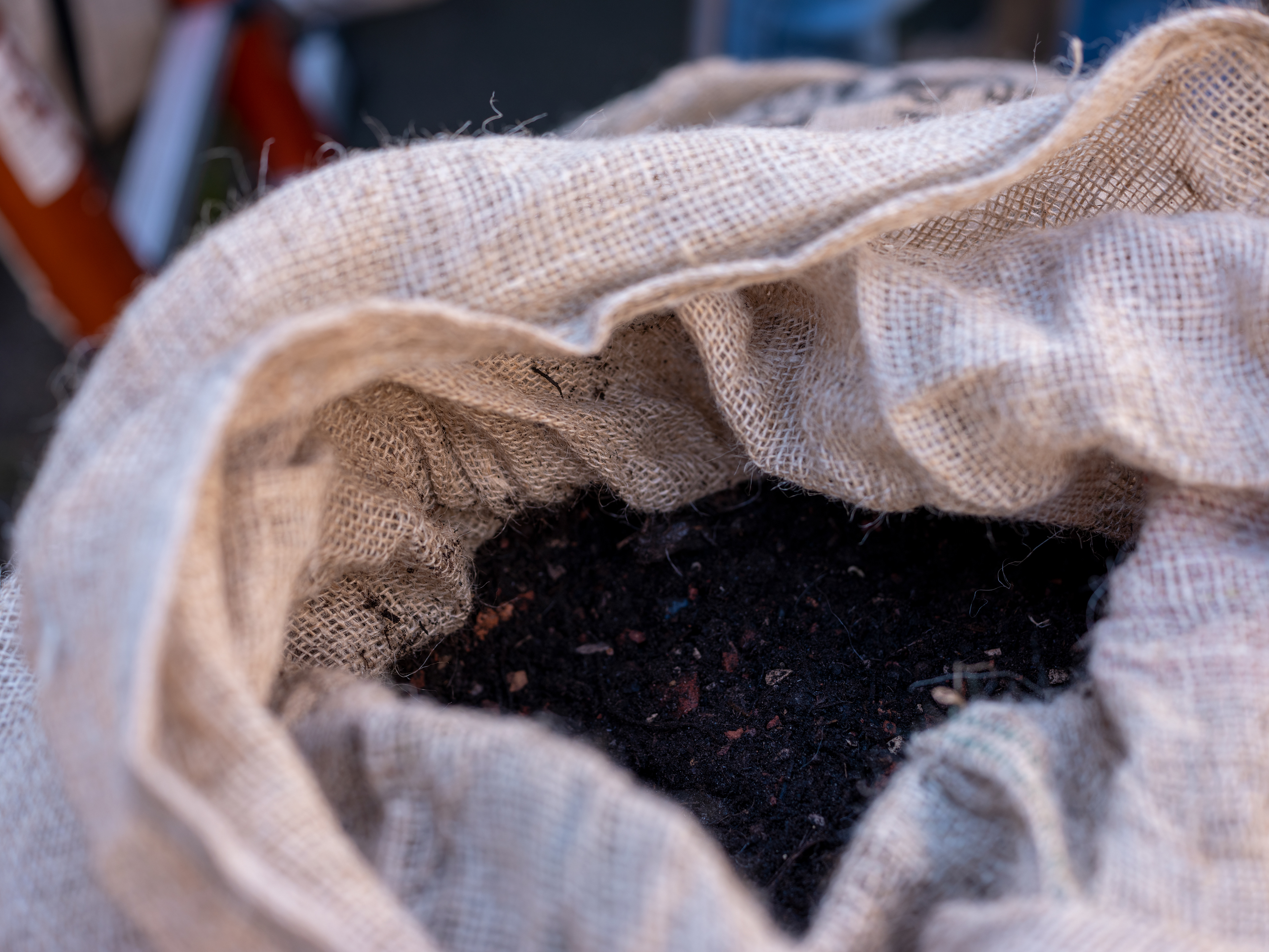 Aanleg sedumdak op biobased materiaal, Breda