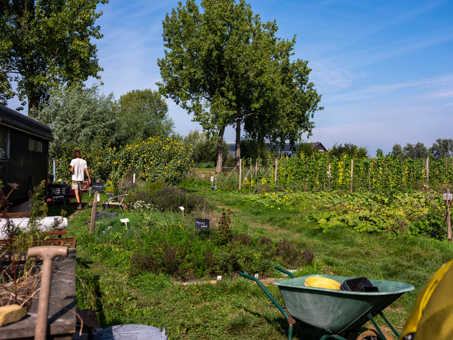 Aan het werk in de tuin