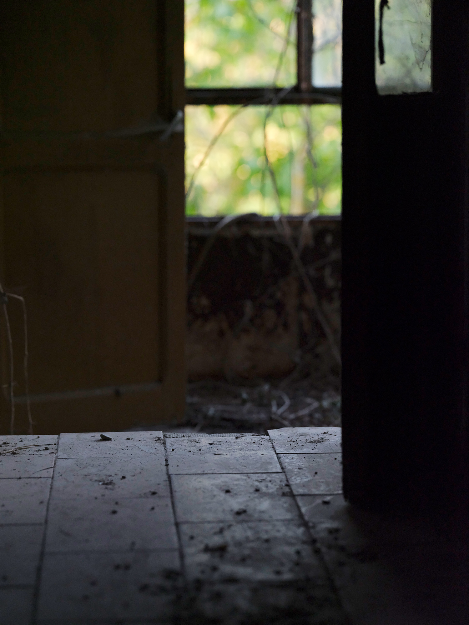 Nature reclaims. Symbiology. 