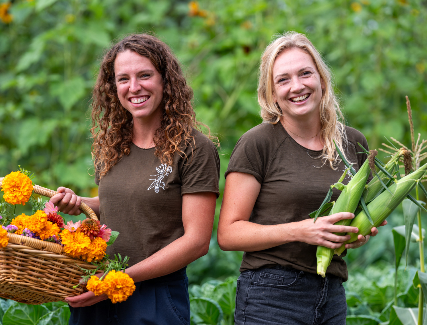 Pluck van het veld