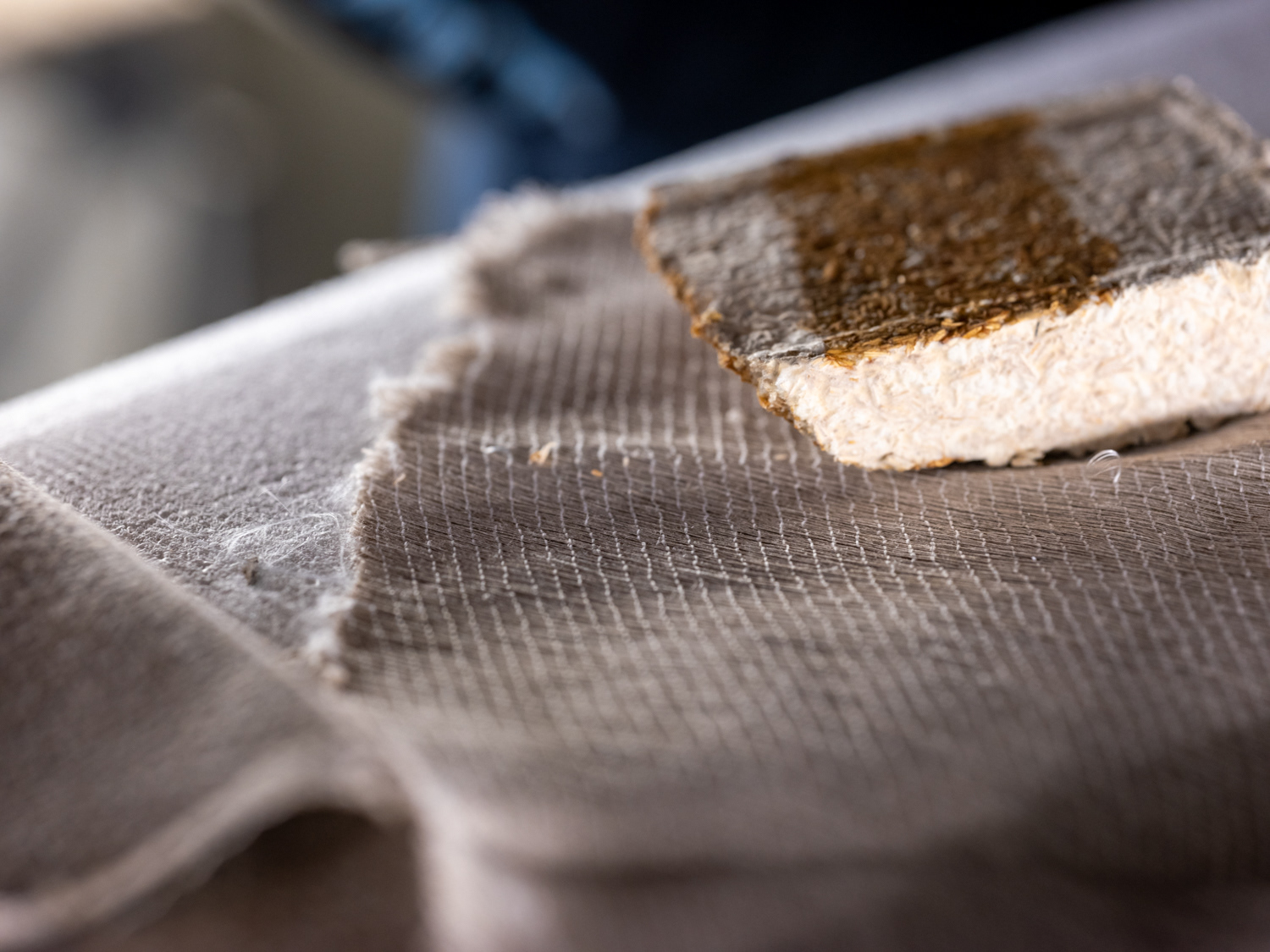 Mycelium en vlas, van den Berg Surf, Hoorn