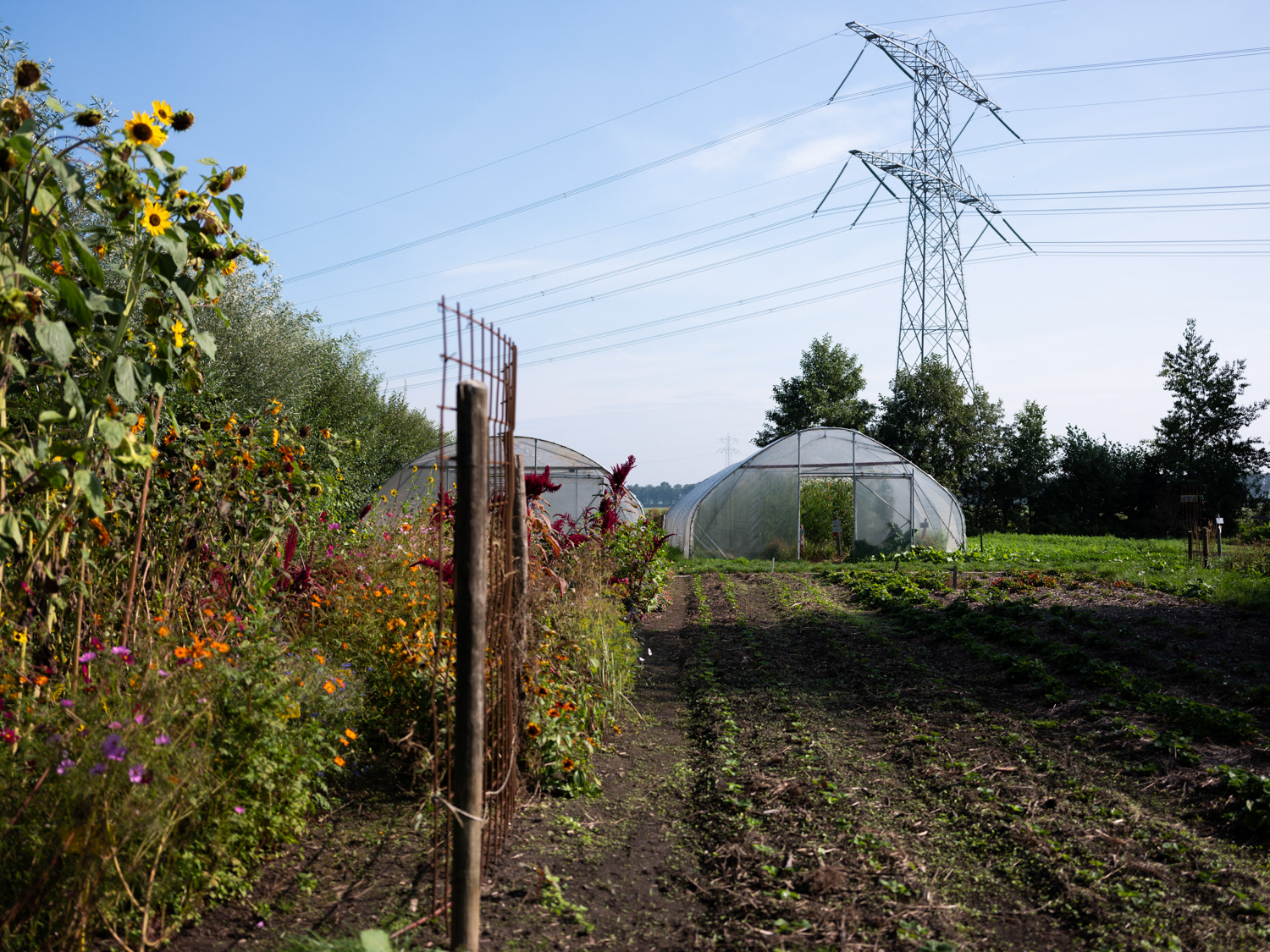 Tuinen van Hartstocht, zelfpluktuin