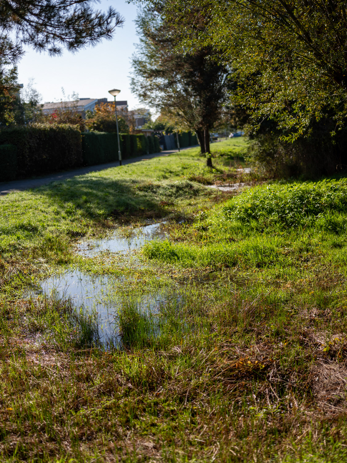 wadi, natuurvriendelijke oplossing tegen wateroverlast én droogte, Breda