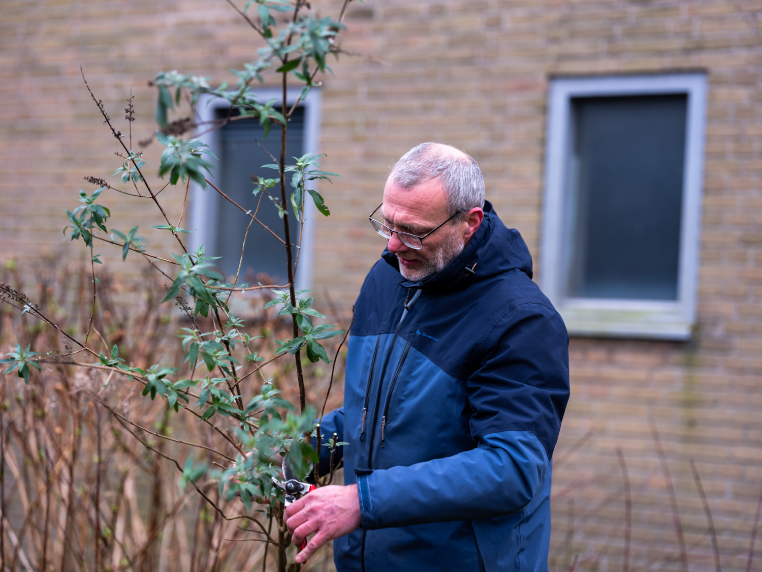 struikroven in Amsterdam