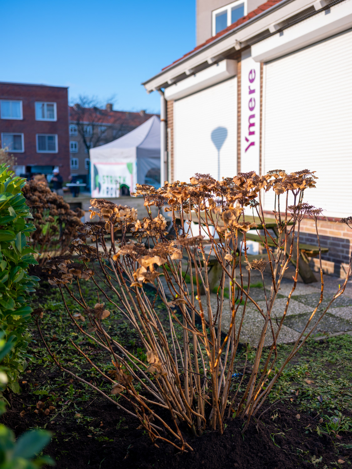 struiken naar Ymere