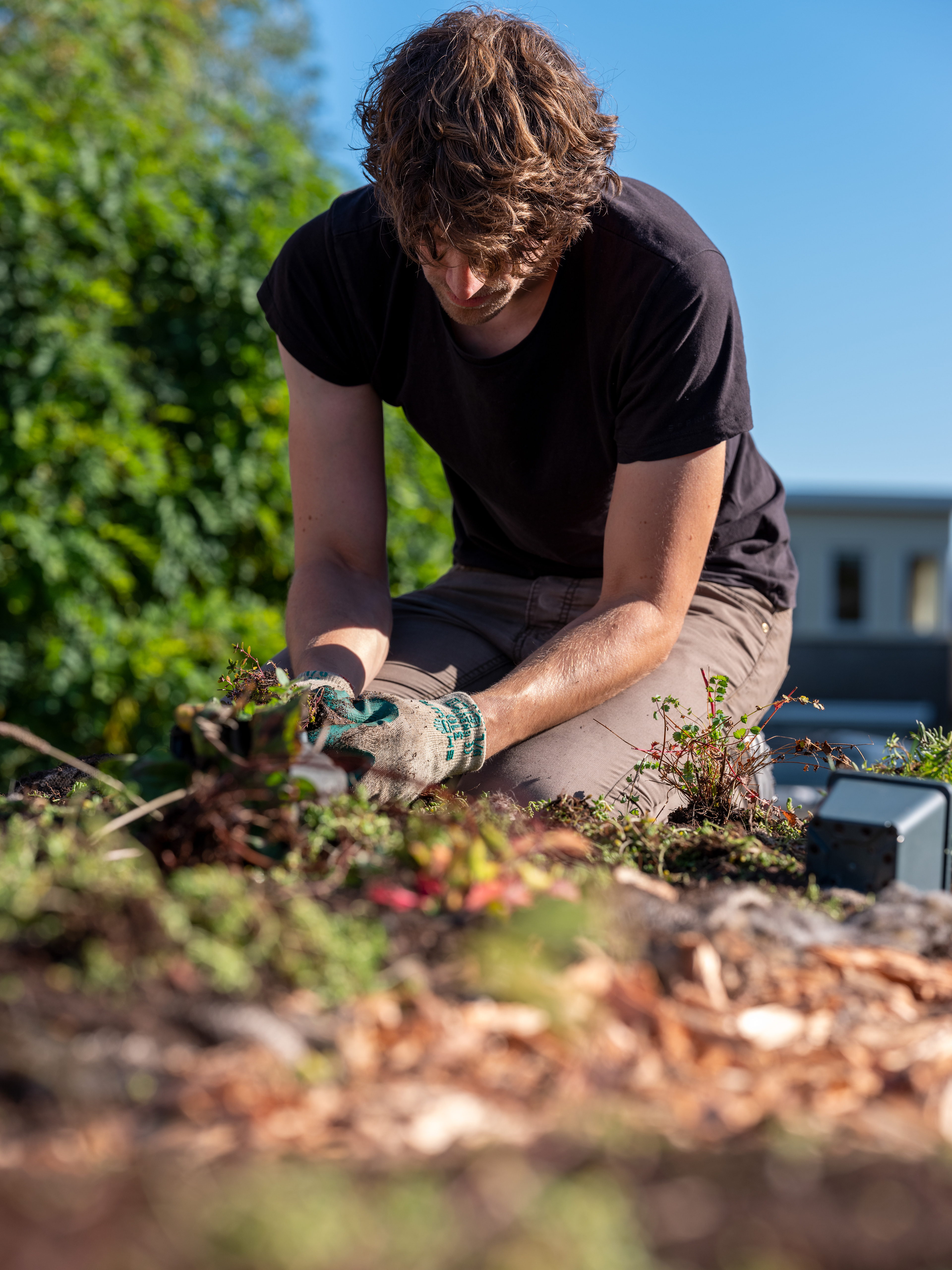 Marijn van Rossum aan het werk in Breda