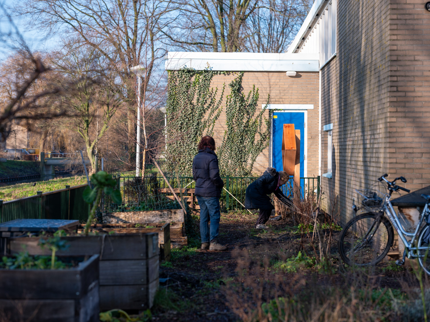 struiken naar buurtmoestuin De Aker