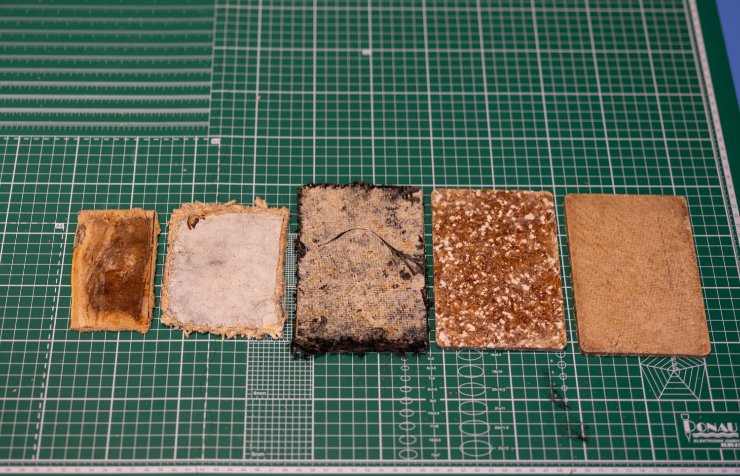 Mycelium, diverse vormen, innovatielab, InHolland Alkmaar