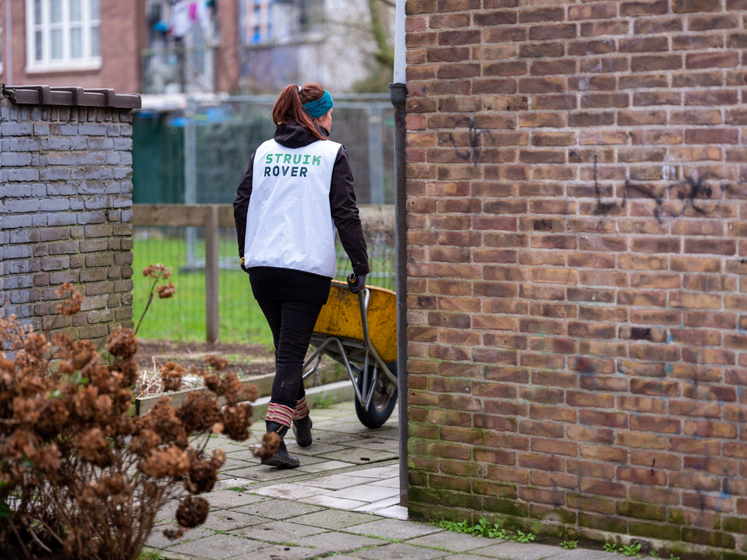 struikroven in Amsterdam