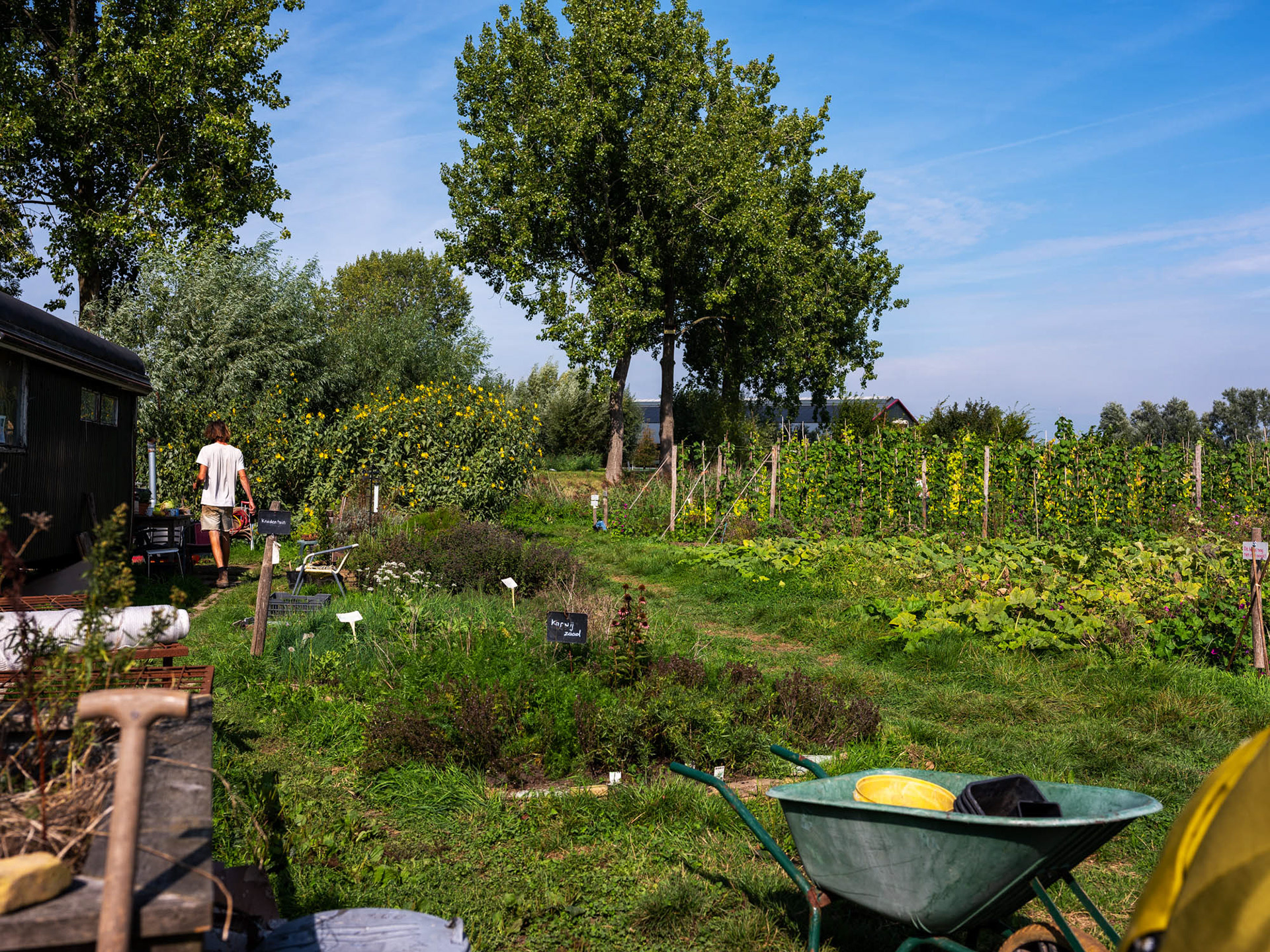 Tuinen Van Hartstocht: pluktuin voor leden.