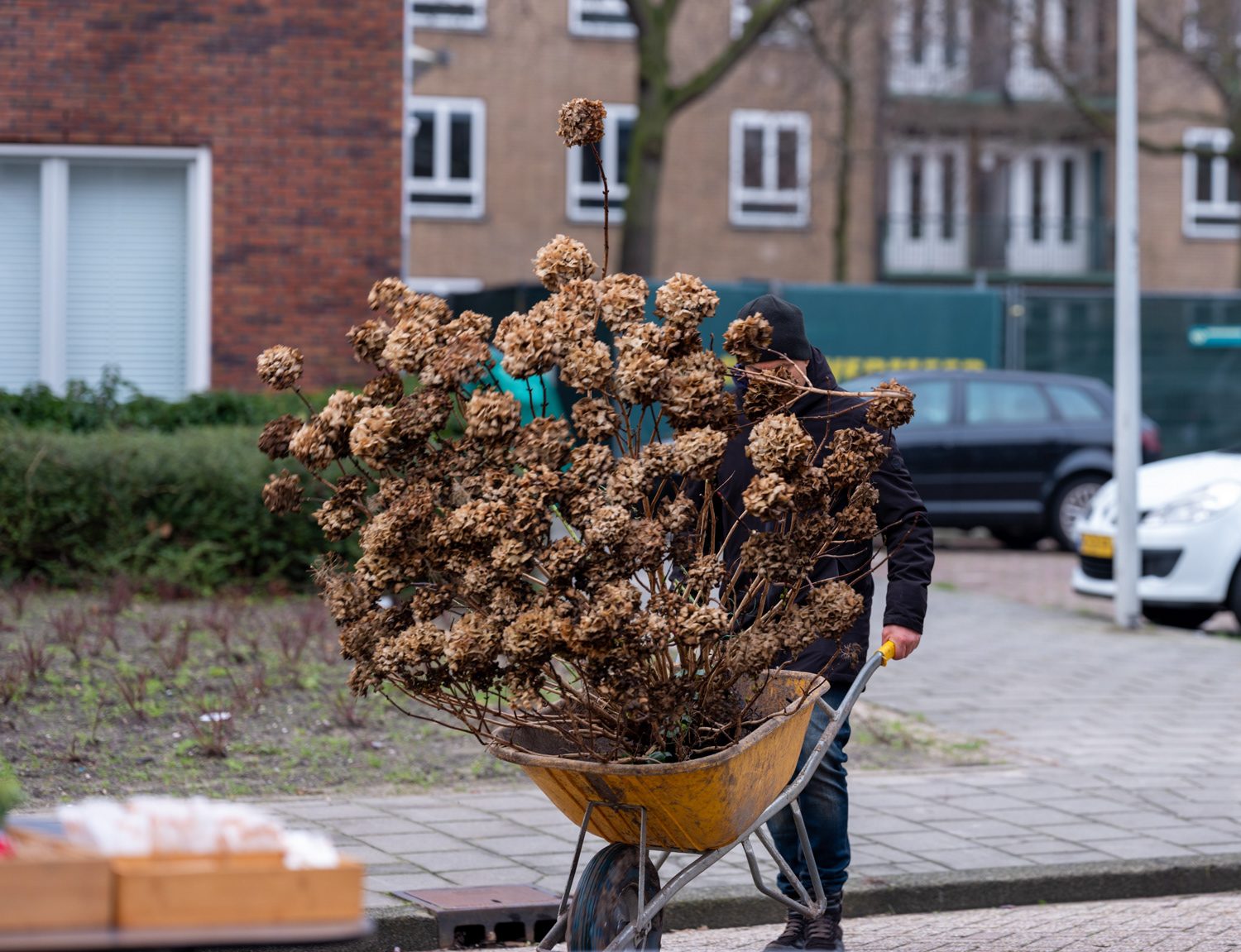struiken naar Ymere