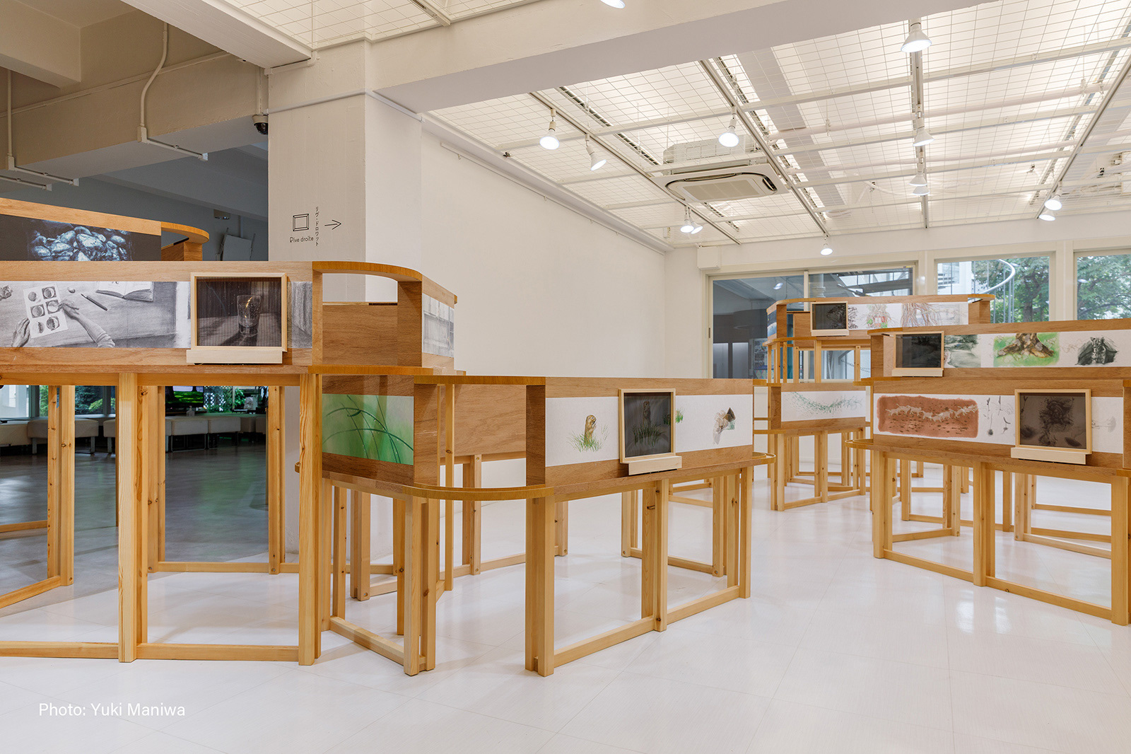 Installation view of "A fable of a fable ‹Wildcat›", 2021-2025