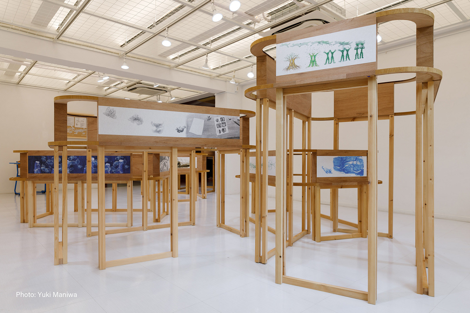 Installation view of "A fable of a fable ‹Wildcat›", 2021-2025