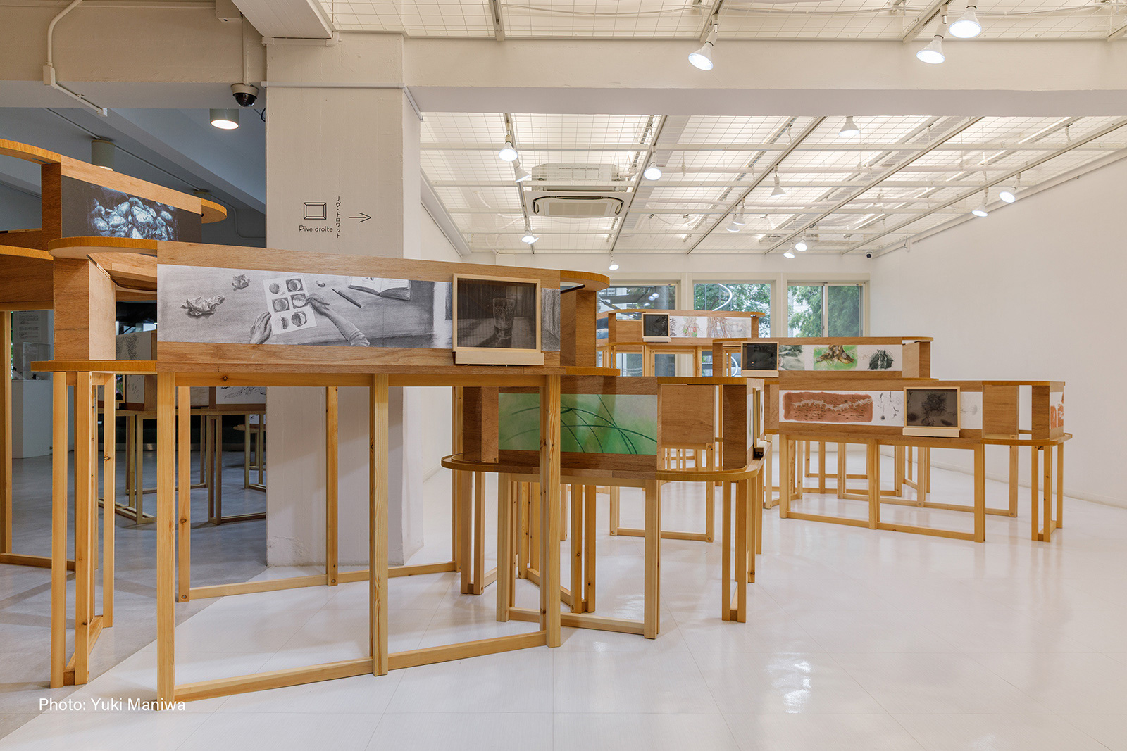 Installation view of "A fable of a fable ‹Wildcat›", 2021-2025