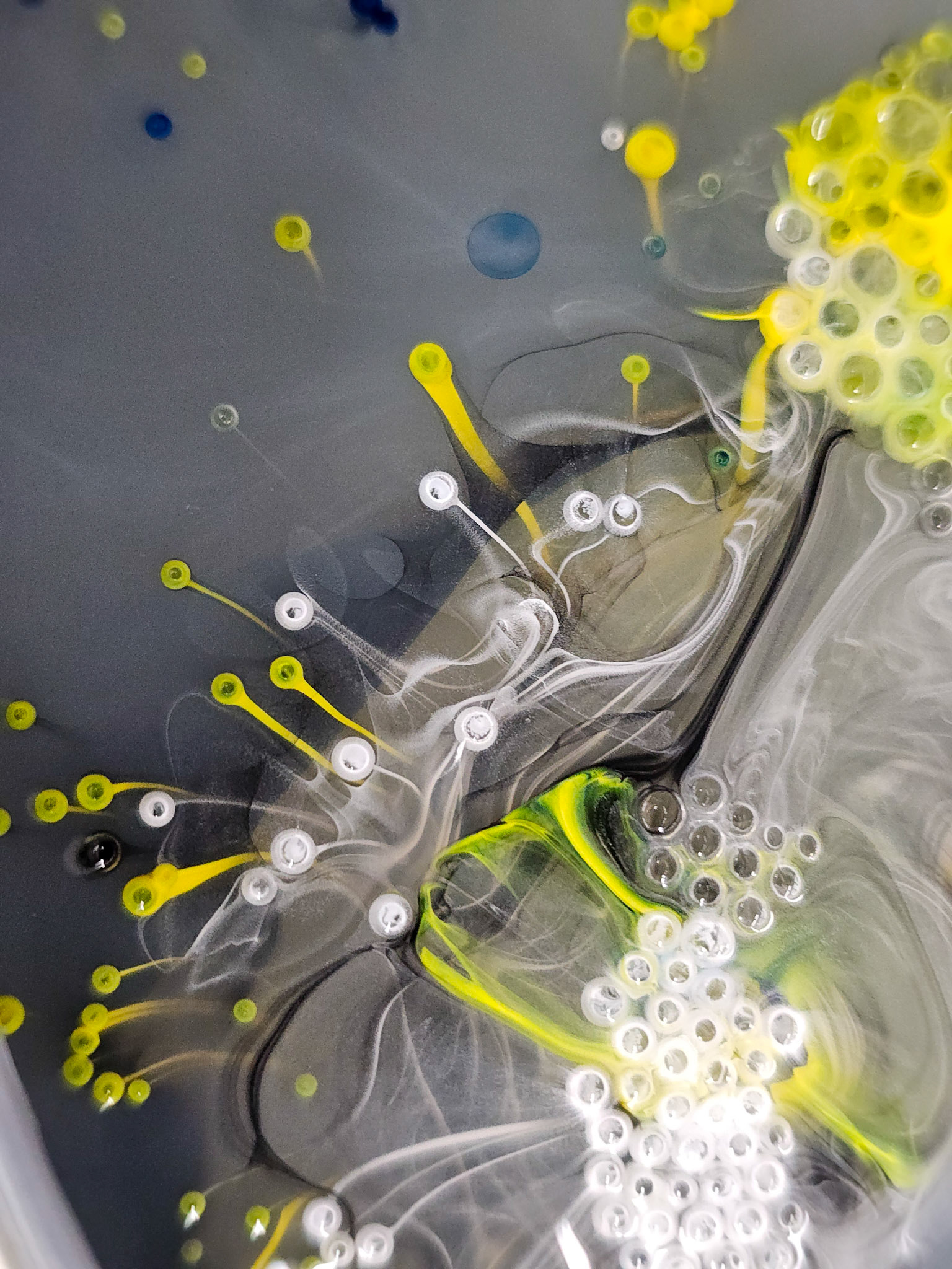 Courtyard Green (546)