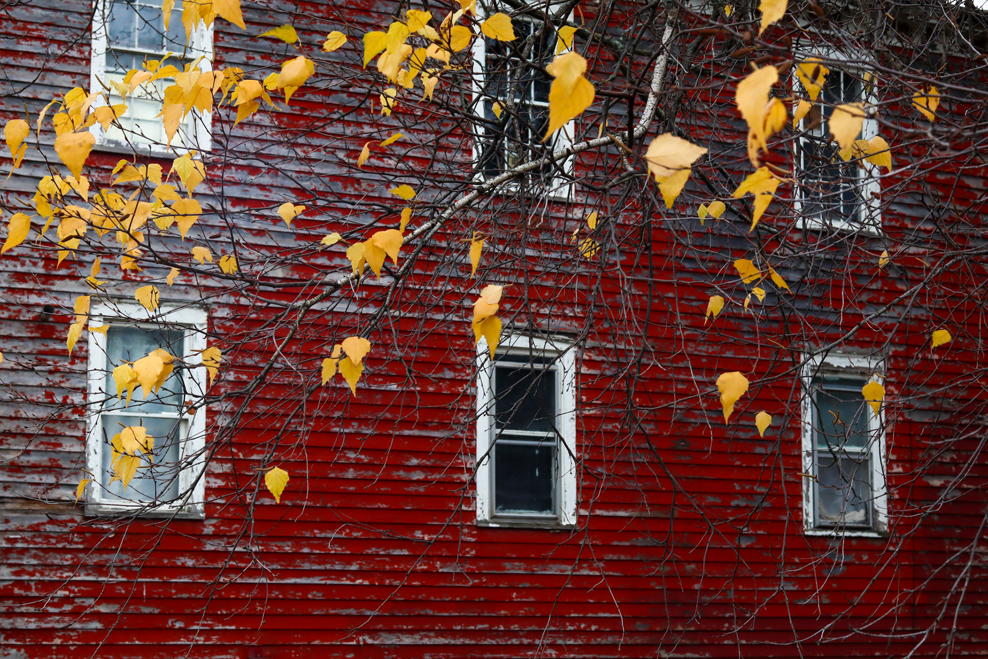 Red Wall at the Art Hall in Richfield Springs, NY
