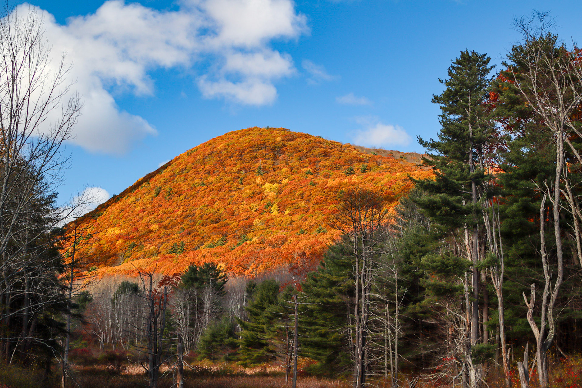 West Richmondville, NY