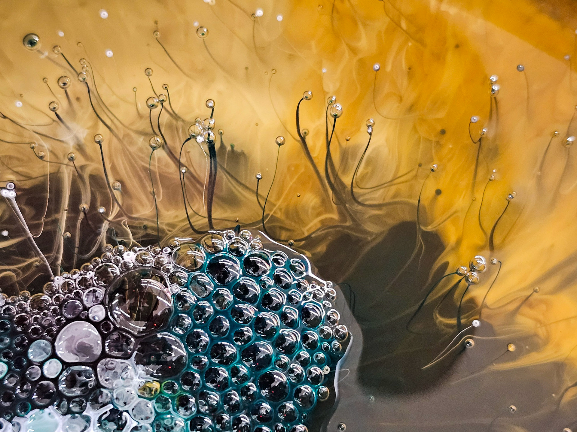 Mountain Laurel (AC-20) or Dartsmouth Green (691)