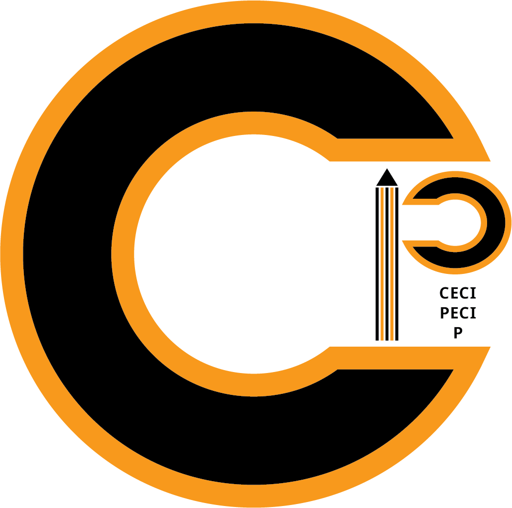 CeciPeci P logo developed as a distinctive personal and creative visual identity.