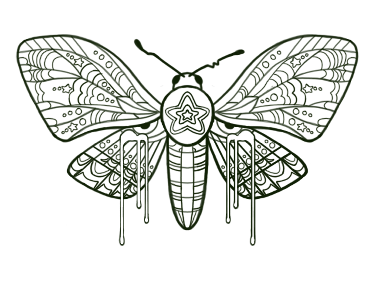 Haley Kazmierczak
